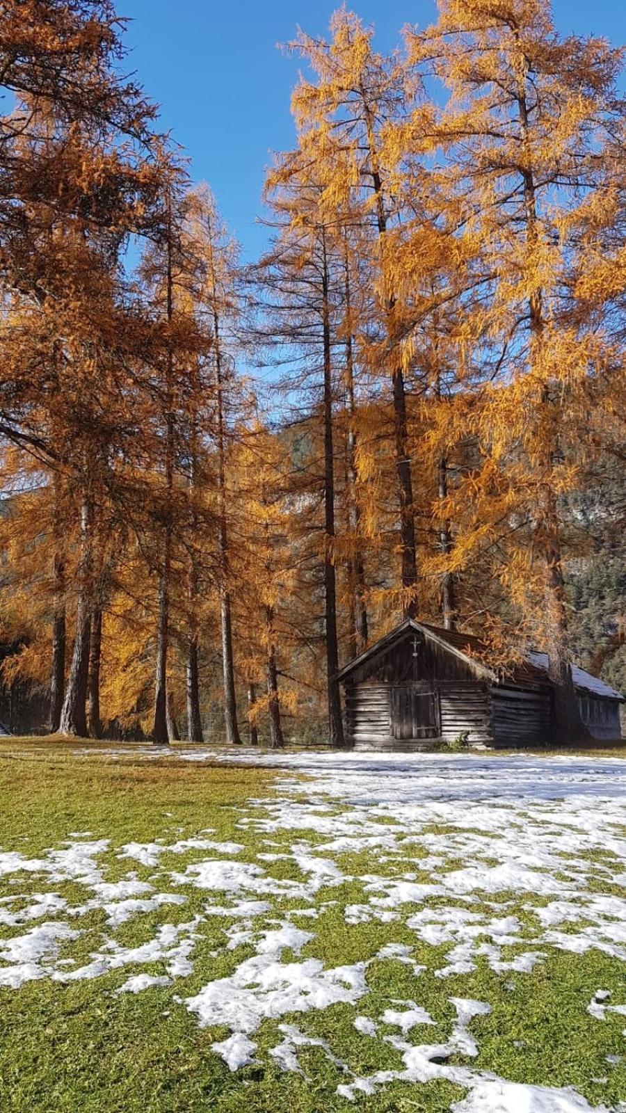 Chalet Am See Nassereith Zewnętrze zdjęcie