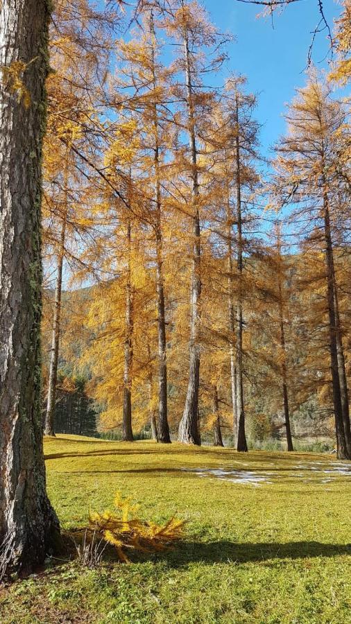 Chalet Am See Nassereith Zewnętrze zdjęcie